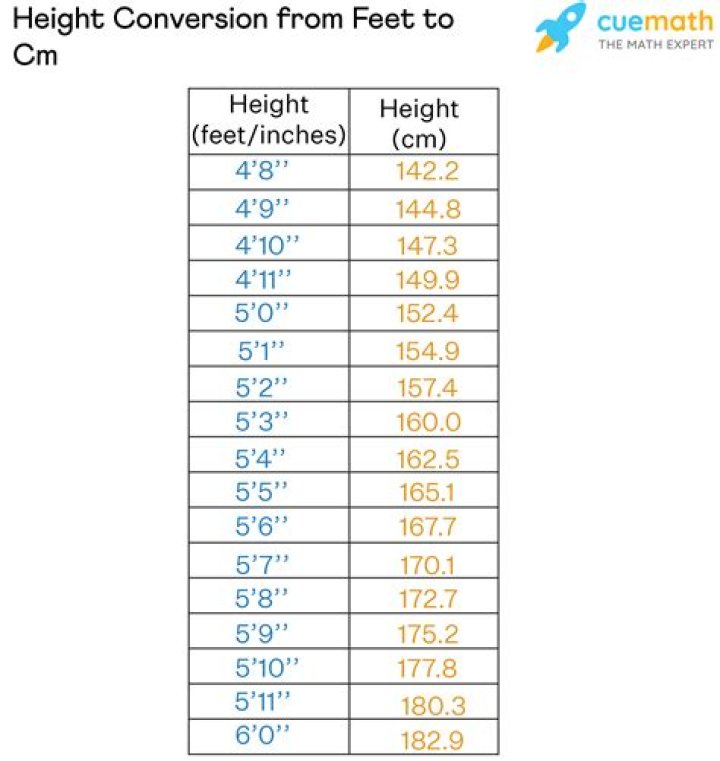 15.8 cm to feet and inches