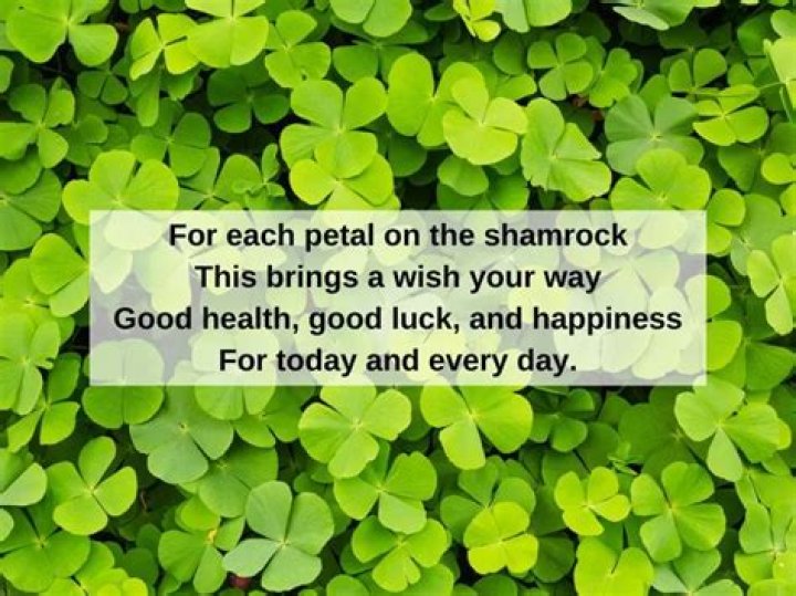 55 St. Patrick's Day Instagram Captions to Give You the Luck of the Irish