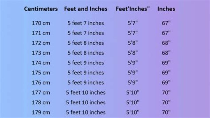 6.8 cm to feet and inches