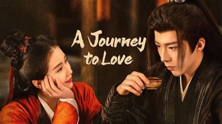 A Journey Of Love, Resilience, And Connection