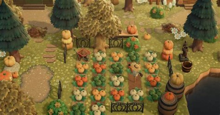ACNH Pumpkin Patch Ideas You Might Want to Use on Your Island