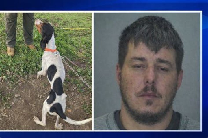 Arrested For Animal Abuse ·