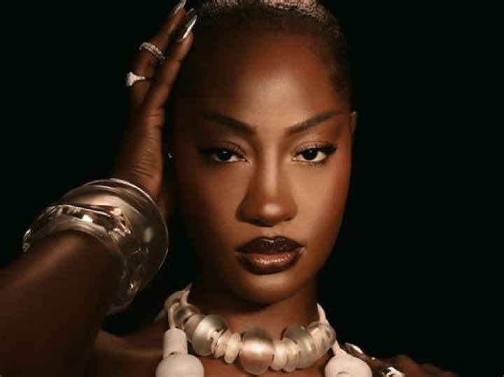 Beyonce, Grace Jones & Tems Say Move On Song Of Beys Renaissance Hollywood Life ·