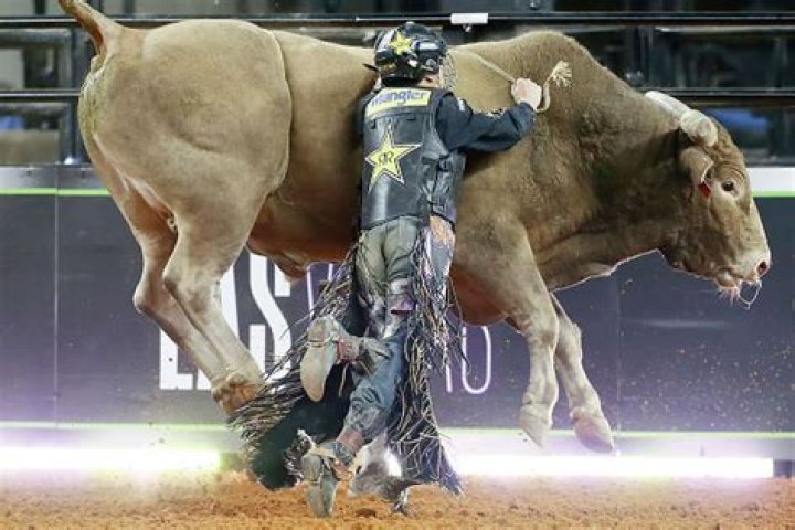 Bull Rider Death News Goes Viral- Injury