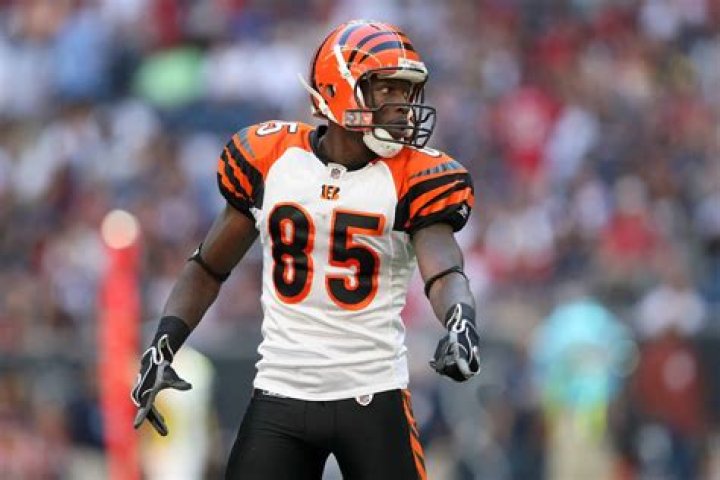 Chad Ochocinco Bio (Wiki) ·