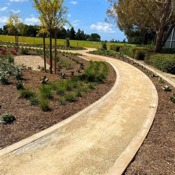 Dave Turin starts 'new chapter walking paths of Gold Rush old-timers' ·