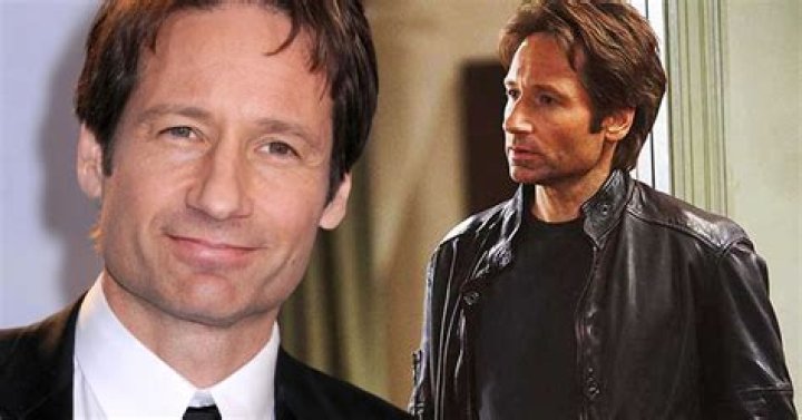 David Duchovny's Marital Status Revealed