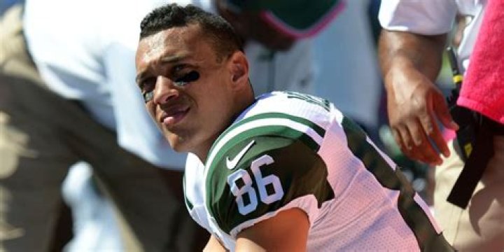 David Nelson Net Worth ·