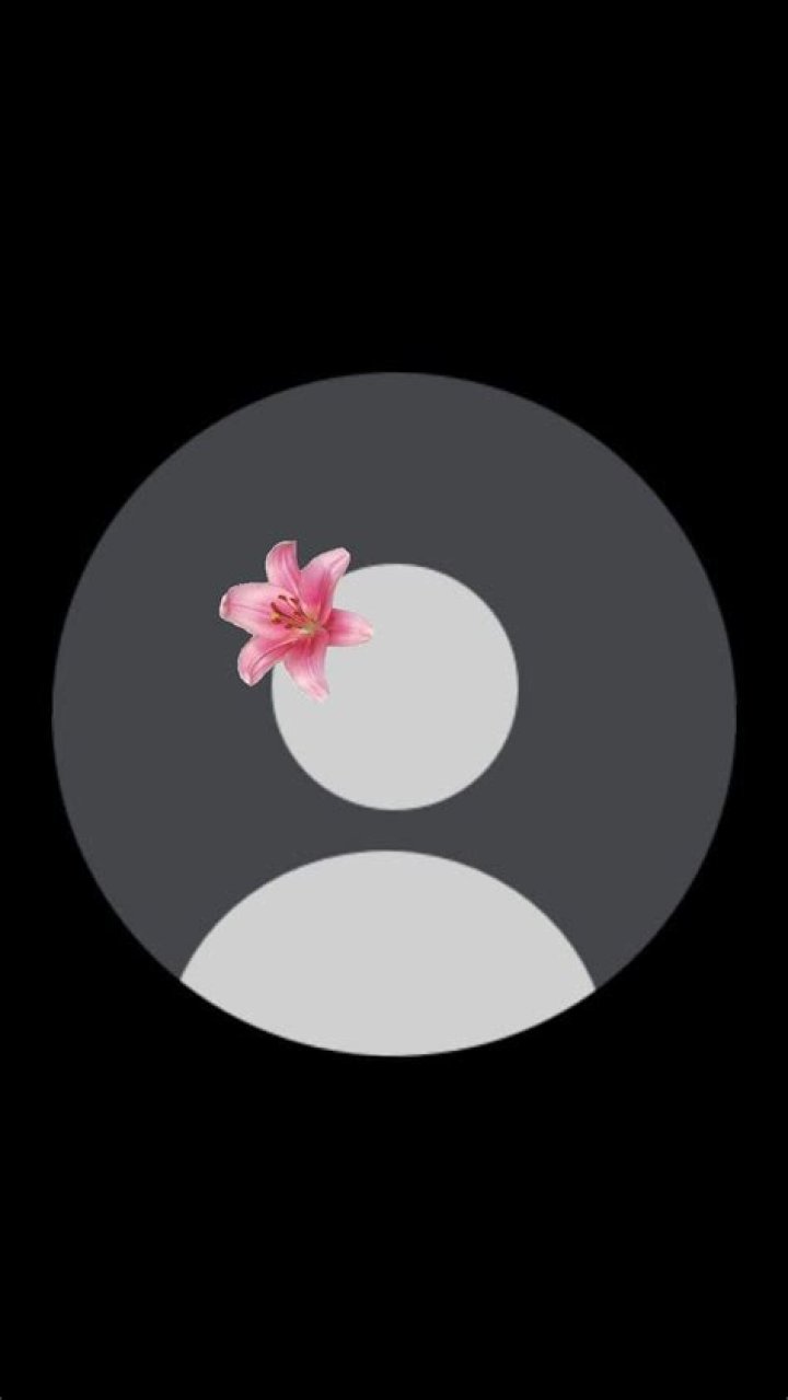 Discover Unforgettable TikTok Profile Pic Ideas To Captivate Your Audience