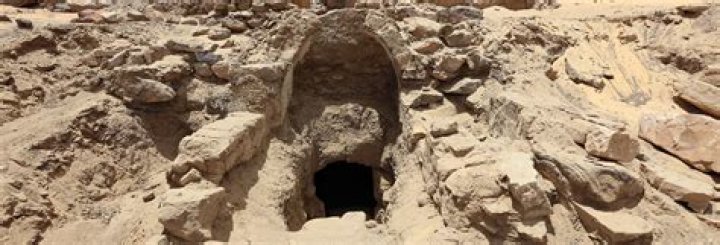 Discoveries And Revelations For 2024