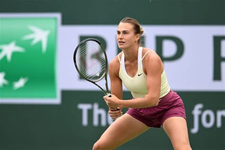 Does Aryna Sabalenka Have Brother? Sister Tonechka Sabalenka ·