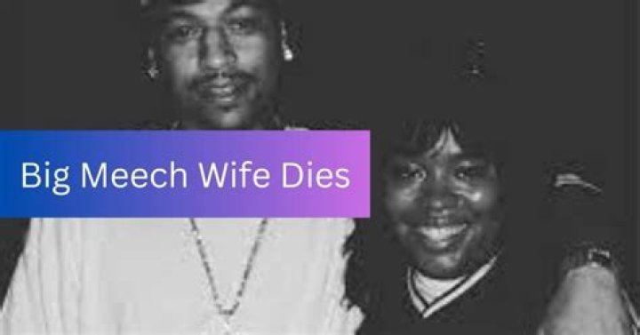 Does Big Meech Wife Die? Meet Sabrina Peterson Big Meech Girlfriend In BMF ·