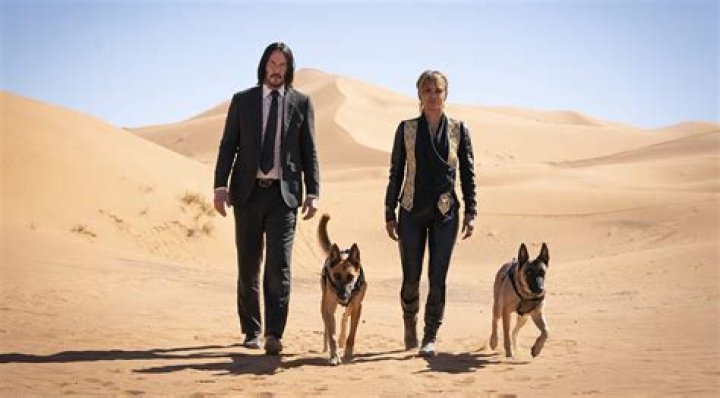 Don't Worry, Canine Fans, the Dog in 'John Wick 3' Is OK