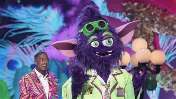 Everything We Know About Who Diver Is on 'The Masked Singer'