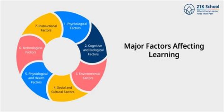 Exploring The Factors And Impact