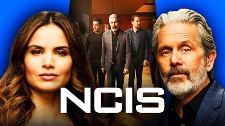 Fornell Played a Huge Role on the 'NCIS' Season 16 Finale