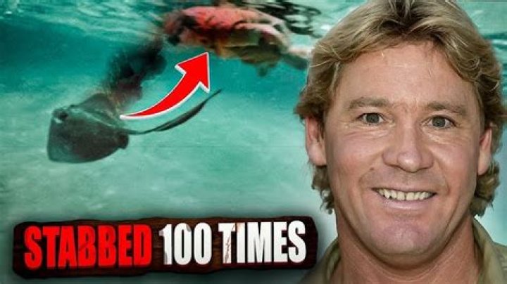 Here's What Happened To The Footage Of Steve Irwin's Death ·