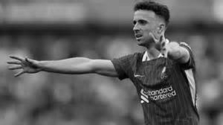 How Did Herzegovinian Soccer Player Die? ·