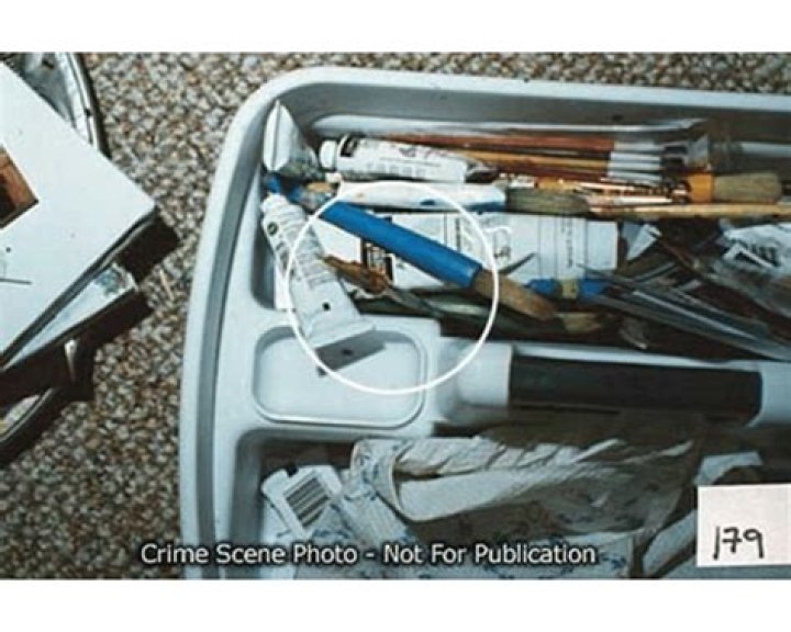 How Did She Died? Autopsy and Crime Scene Pictures ·