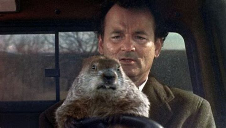 How Long Was Bill Murray Trapped in 'Groundhog Day'? It's Longer Than You Think