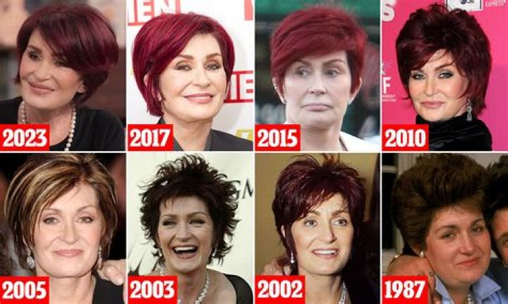 How Much Money Does Sharron Corley Make? Latest Sharron Corley Net Worth Income Salary ·