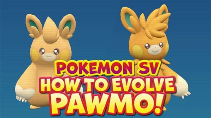 How to Evolve Pawmo Pokmon GO