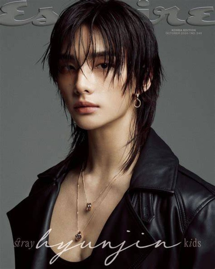 Hyunjin Biography, Age, Career, Net Worth, Family & More ·