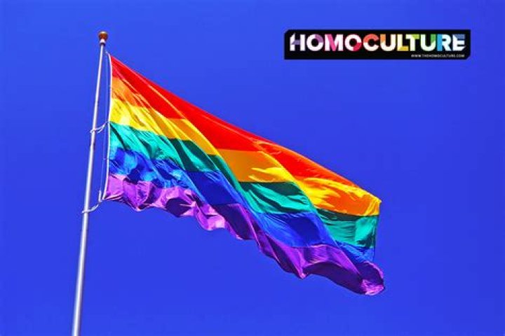 Insights And Inspirations For LGBTQ+ Visibility