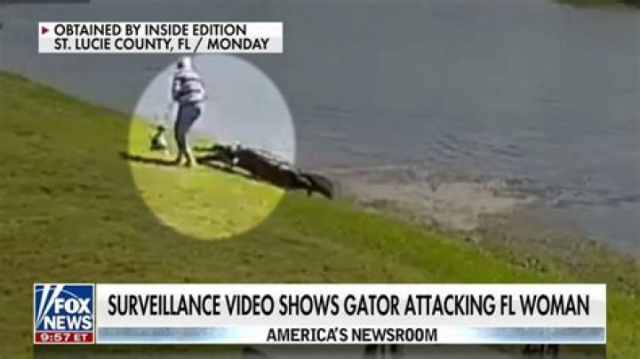 Insights Into Gator Attacks On Elderly Women