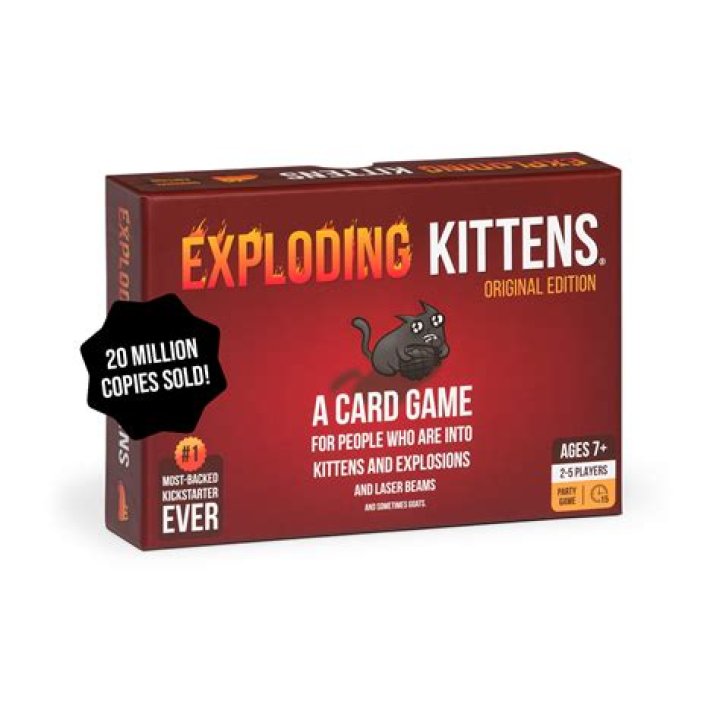 Insights Into The "1 Guy 2 Kittens" Case