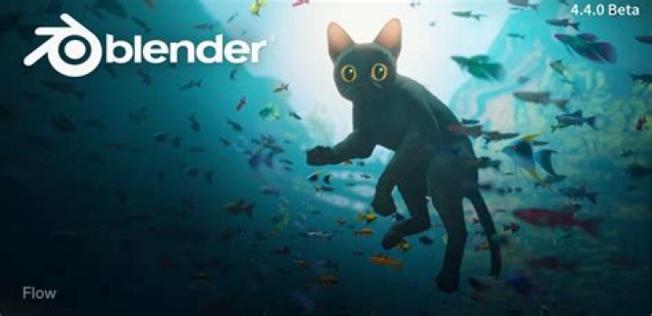 Insights Into The "Cat Blender Video" Trend