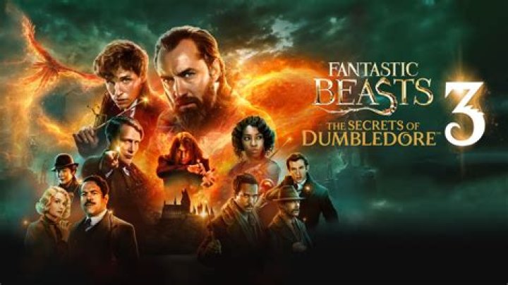 Is Katherine Waterston in 'Fantastic Beasts: The Secrets of Dumbledore'? The Trailer Is Confusing Fa