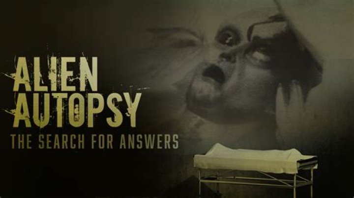 Kelly Fitzgerald's Disappearance And The Search For Answers