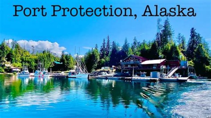 Meet Sam Carlson Of Port Protection