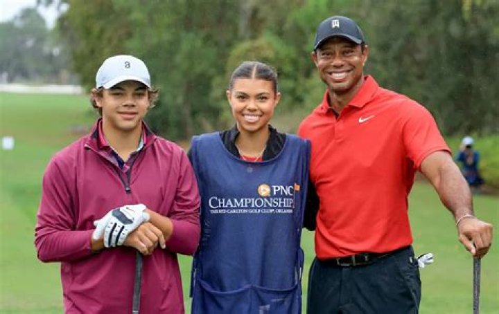 Meet Tiger Woods And Elin Nordegren ·