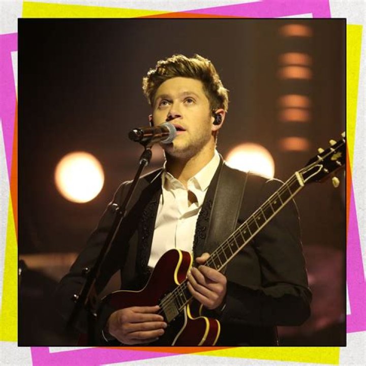 Niall Horan's Biography And Facts' ·