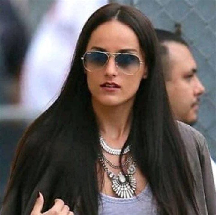 Pitbull Wife: Facts About The Wife Of The Musician