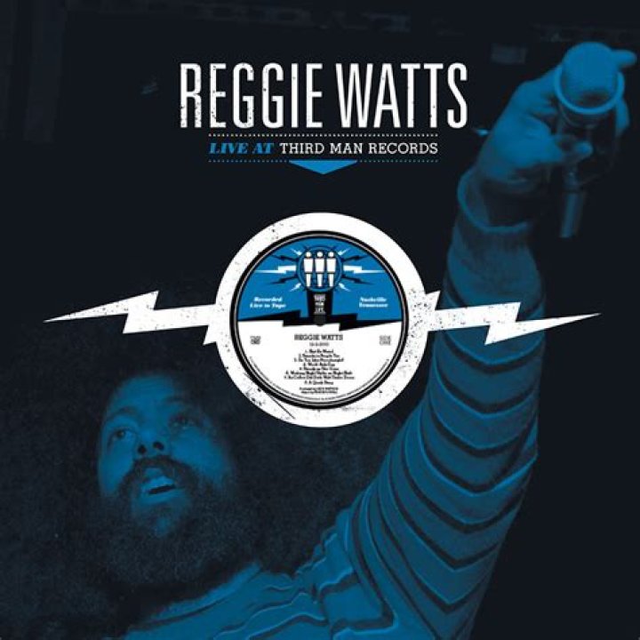Reggie Watts Net Worth ·