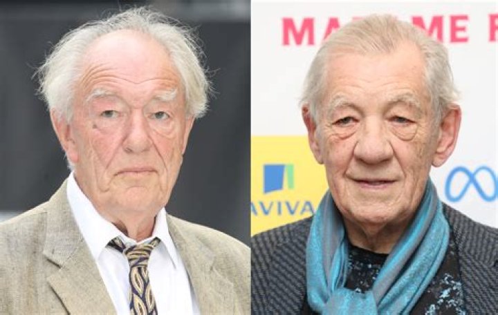 Sir Michael Gambon And Philippa Hart's Family Tapestry
