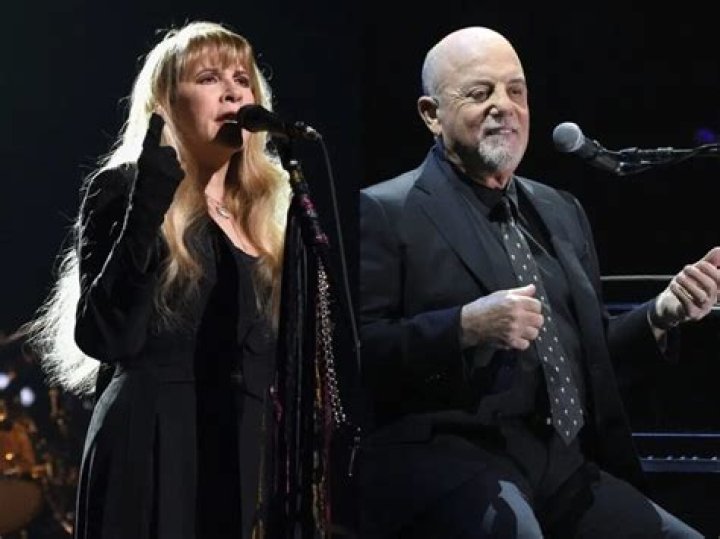 Stevie Nicks And Lanie Gardner's Serendipitous Encounter