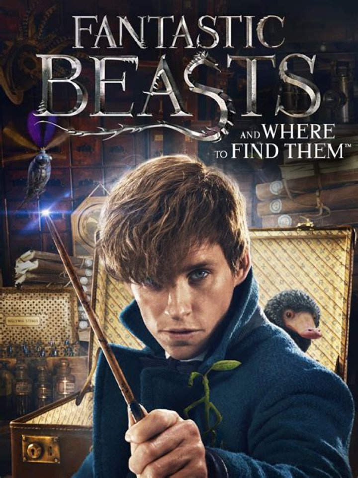 The 13 Best Quotes From 'Fantastic Beasts And Where To Find Them' Are Pretty Magical