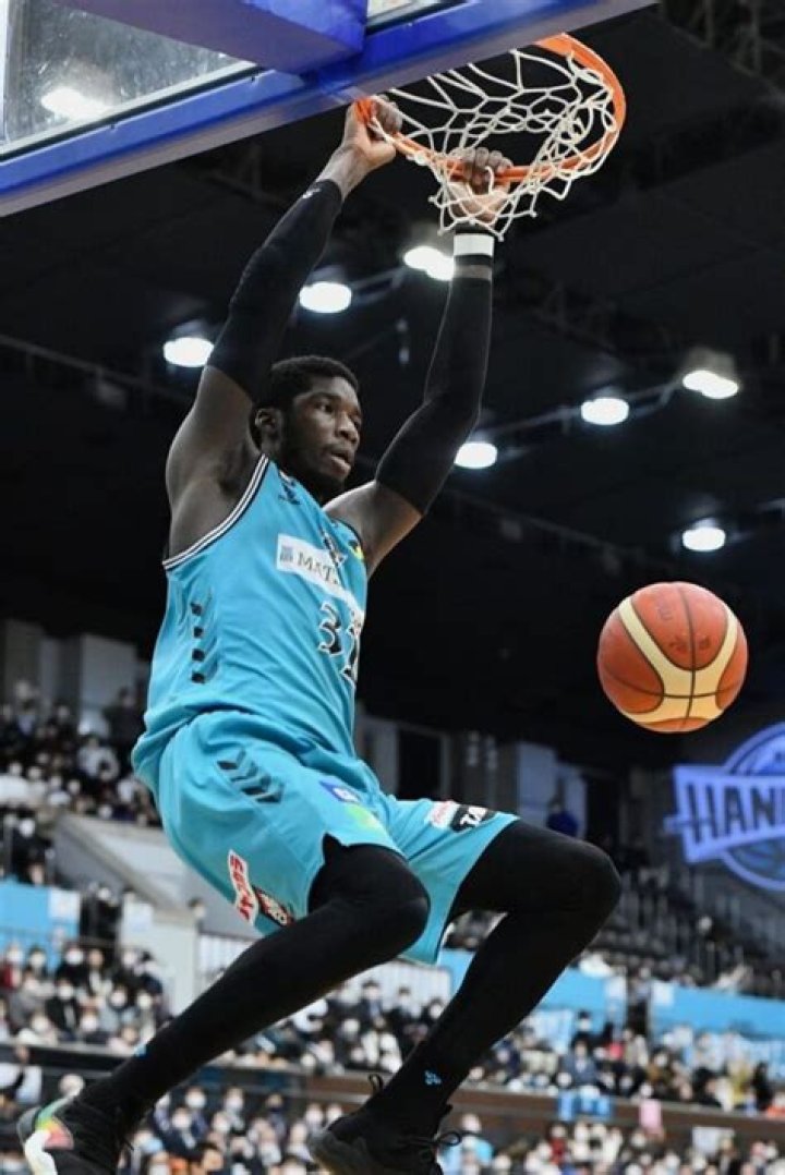 The Journey Of Cheick Diallo [2024 Update]: ·