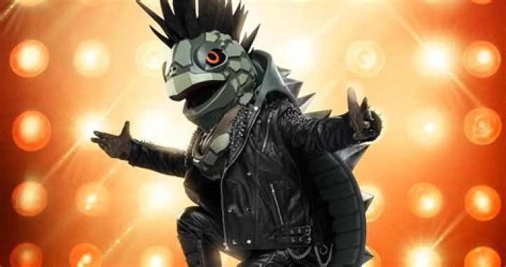 The Turtle on 'The Masked Singer' Is THIS Former Teen Heartthrob (SPOILERS)