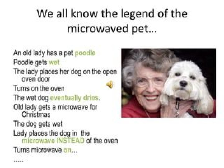 Uncover The Disturbing Truth Behind "She Put Her Poodle In The Microwave"