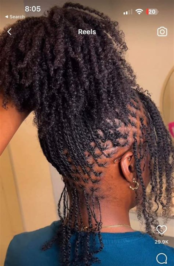 Uncover The Secrets Of Feed-In Braids Over Locs
