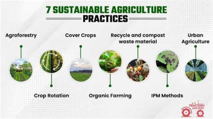Uncover The Secrets Of Sustainable Agriculture At Brookhollow Barnyard