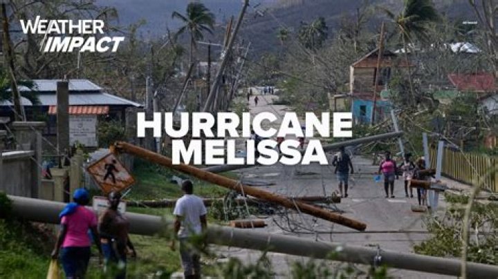 Uncovering The Impact And Aftermath