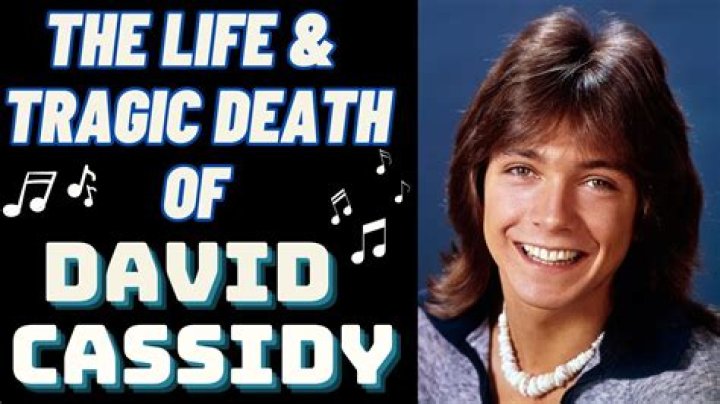 Uncovering The Legacy Of David Cassidy: Kay Lenz's Heartfelt Insights