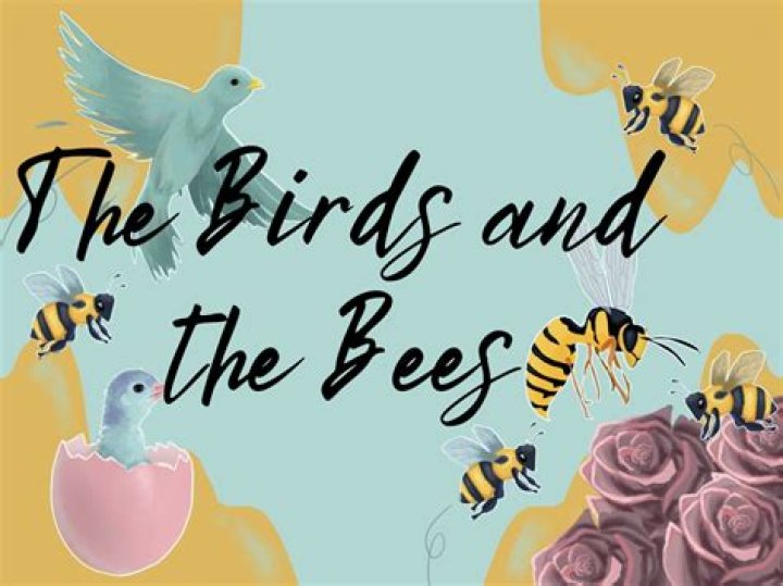 Unlock The Secrets Of The Birds And The Bees Meme: A Journey Of Discovery