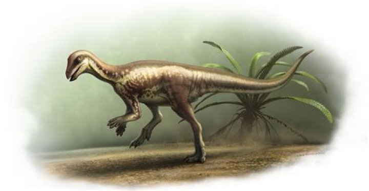Unravel The Mystery: Dinosaur Sleep Secrets Revealed
